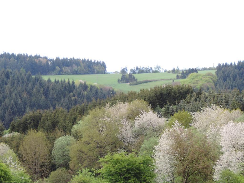 Wiesemscheid Gasthaus Weber מראה חיצוני תמונה